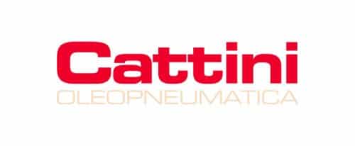 Cattini specialiste levage vehicule